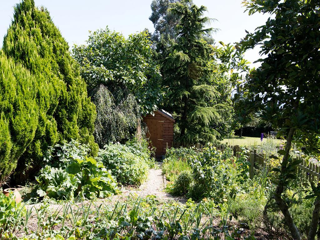 The Graig Bed & Breakfast Ludlow Farden Екстериор снимка