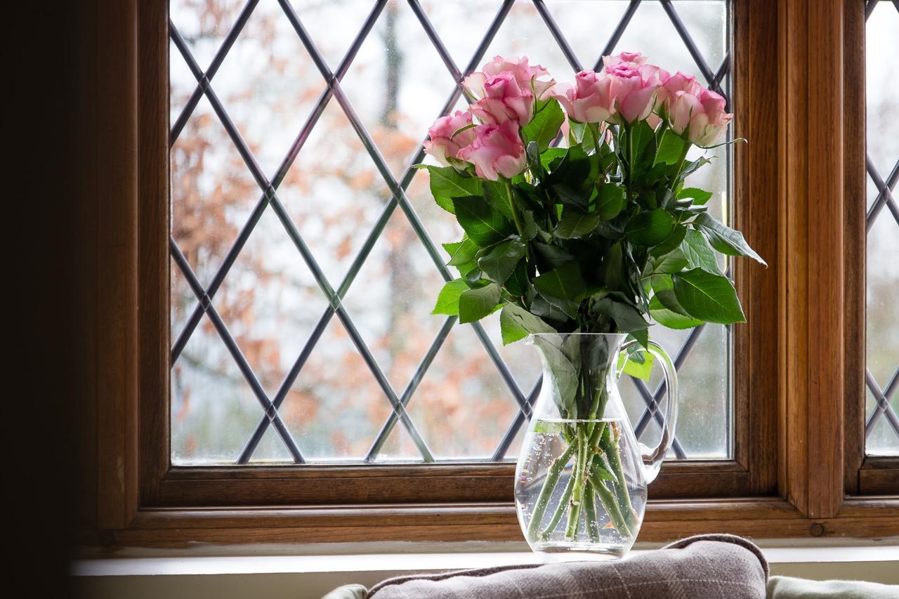 The Graig Bed & Breakfast Ludlow Farden Екстериор снимка