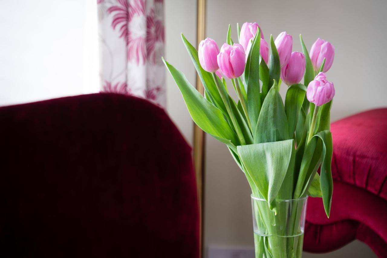 The Graig Bed & Breakfast Ludlow Farden Екстериор снимка