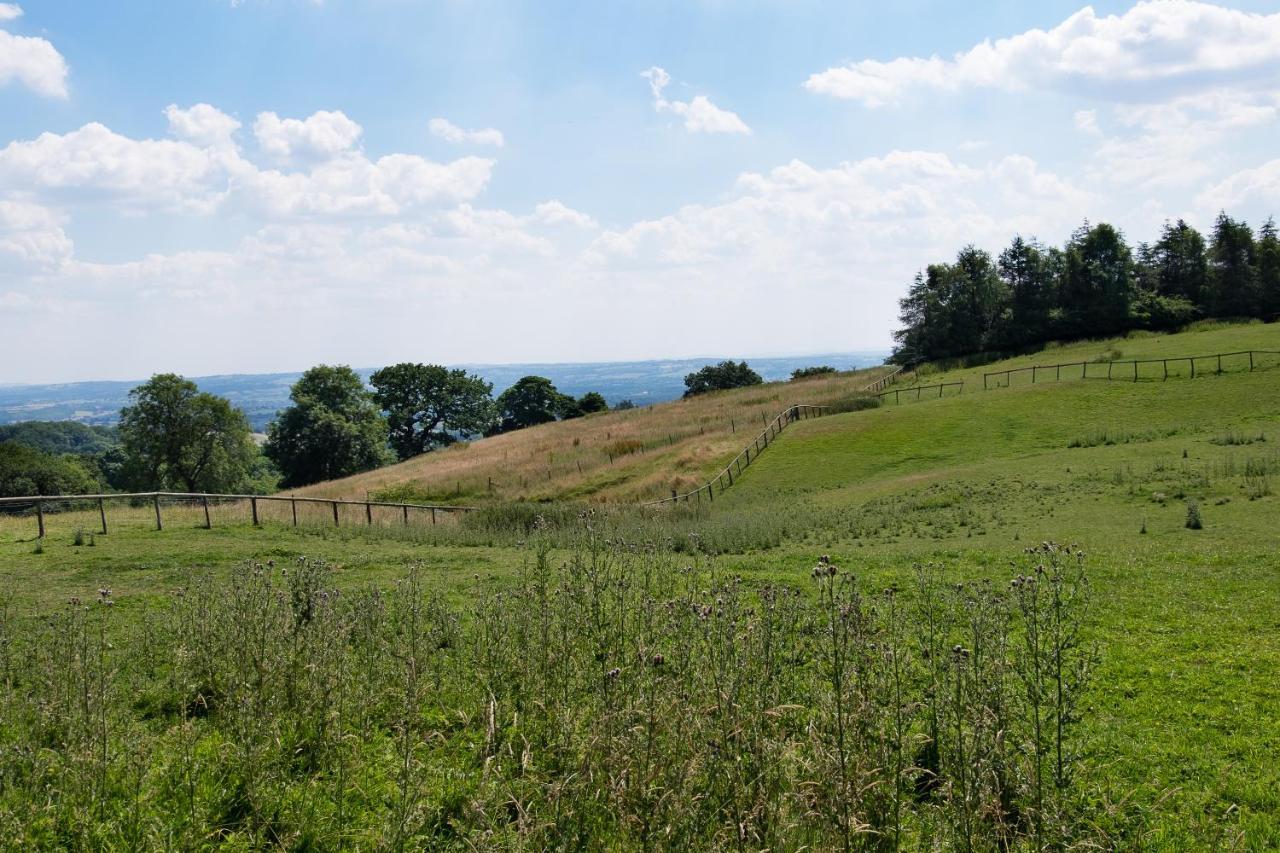 The Graig Bed & Breakfast Ludlow Farden Екстериор снимка